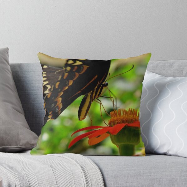 Item preview, Swallowtail designed and sold by DottieDees.