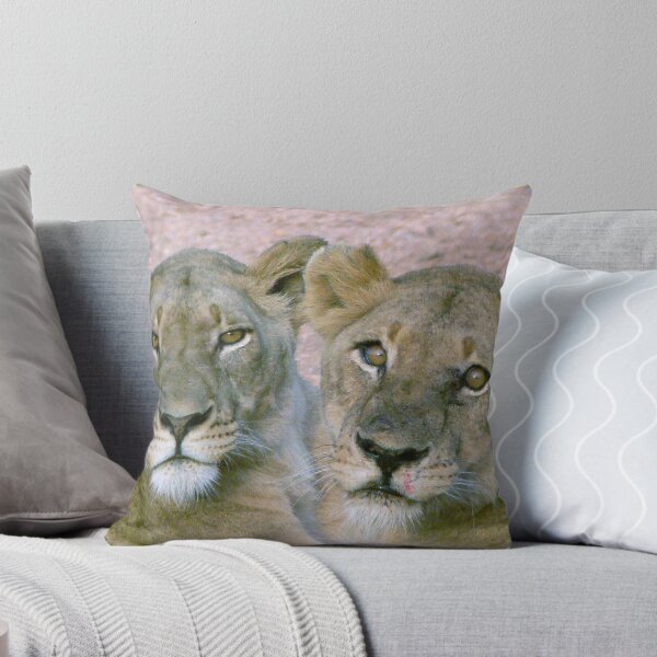Item preview, Copy-Cats designed and sold by Carisma.