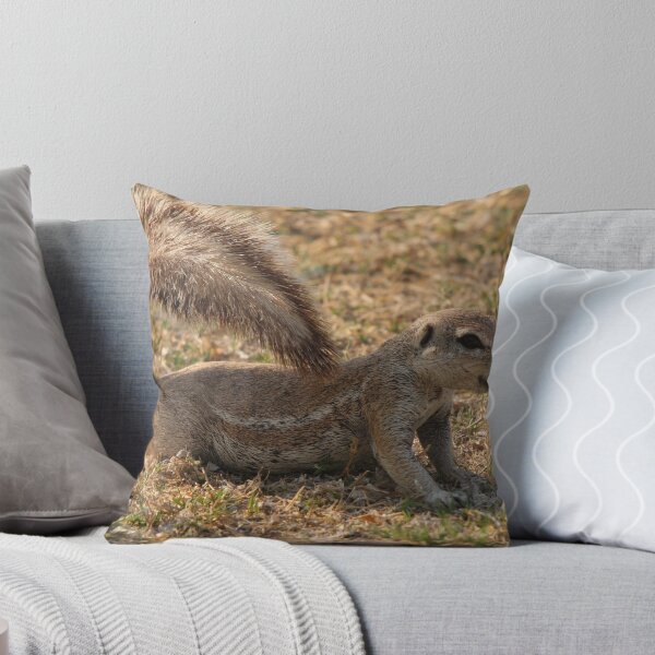 Item preview, Relaxed Ground Squirrel designed and sold by ChrisCoombes.