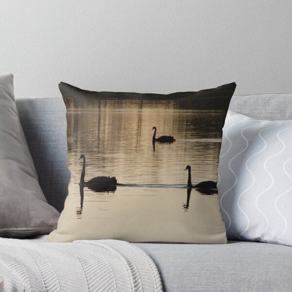 Aperçu de l'œuvre Swans on Curlew - Lake Curlew, NSW créée et vendue par gregorymcinnes.