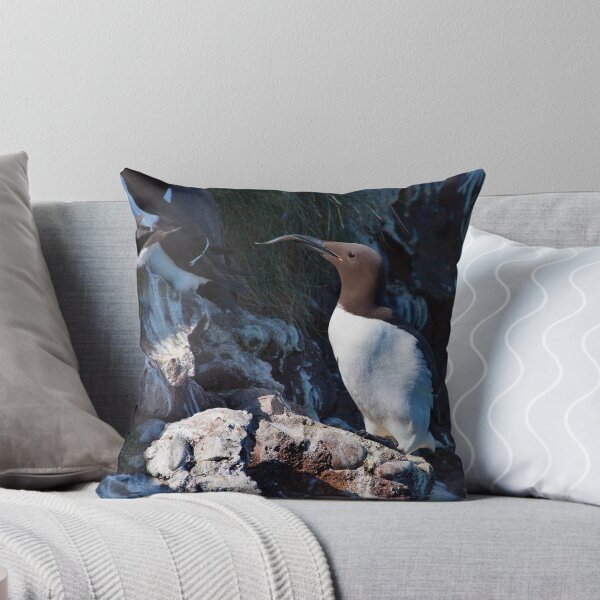 Item preview, Guillemot at Fowlsheugh designed and sold by Shaun Whiteman.