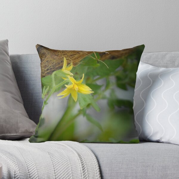 Tomato Beginnings Throw Pillow