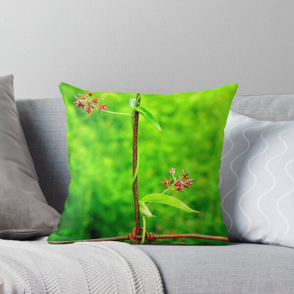 Item preview, Wrapped. designed and sold by Paul Rees-Jones.