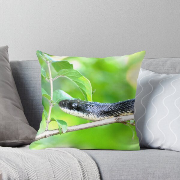 Item preview, Blacksnake designed and sold by Da Vincie .