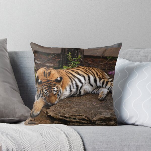 Item preview, Sleepy Tiger designed and sold by Sandy Keeton.