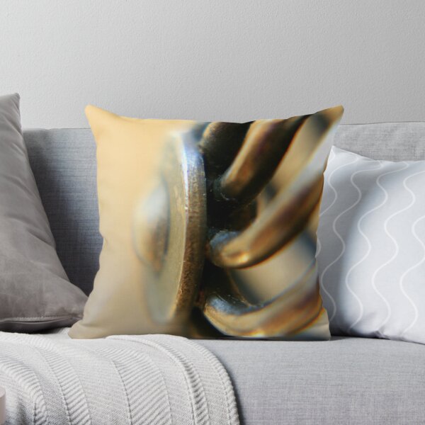 Door Detail Throw Pillow