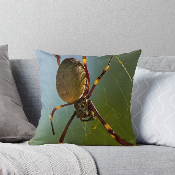 Item preview, Spider designed and sold by kwill.