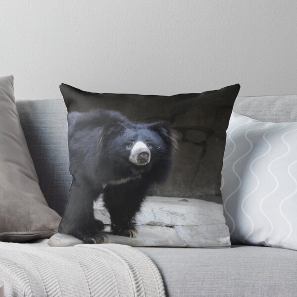 Item preview, Sloth Bear designed and sold by Anne Smyth.