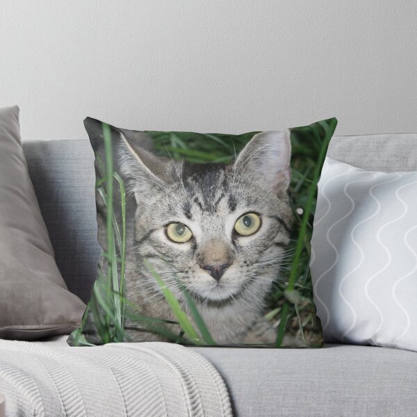 Item preview, Jasper designed and sold by Andrea Fox.