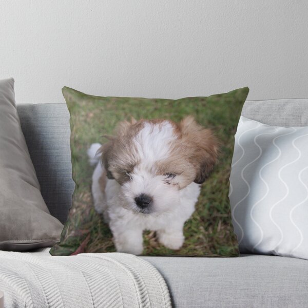 Item preview, Innocent Puppy in Corindi Beach, New South Wales designed and sold by groophics.