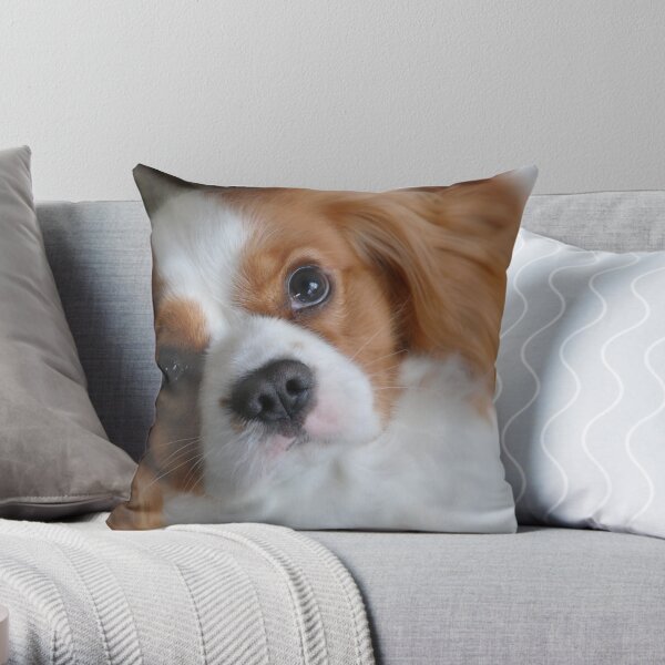 Luciano Throw Pillow