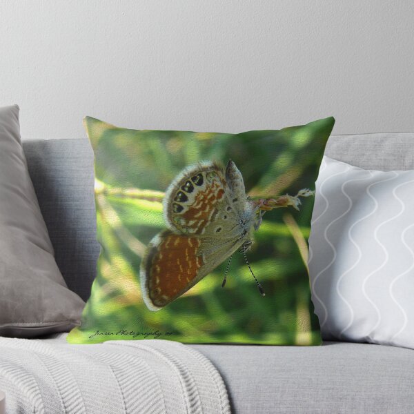 Item preview, Hanging In The Shadows designed and sold by Carla Jensen.