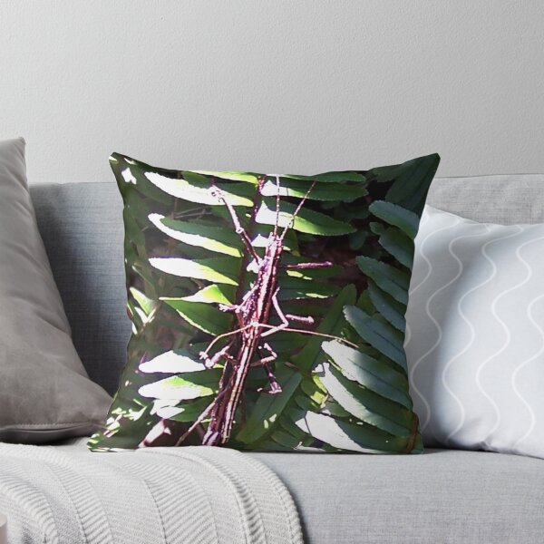 Item preview, Eewh! A Bug on the Fern designed and sold by Daneann.