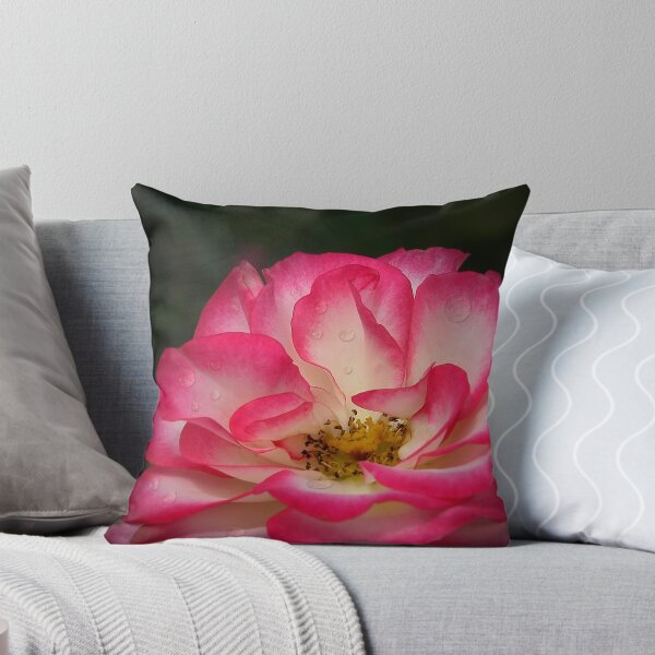 Item preview, Experiment designed and sold by Rosalie Dale.