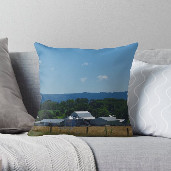 Virginia Blue Throw Pillow