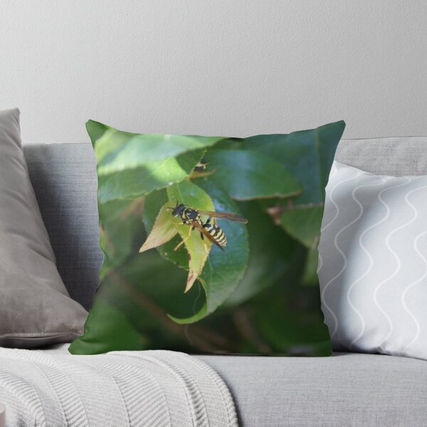 Artikelvorschau, Resting Wasp entworfen und verkauft von photoclimber.
