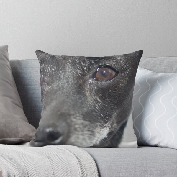 Item preview, Mans best friend designed and sold by Fitzard.