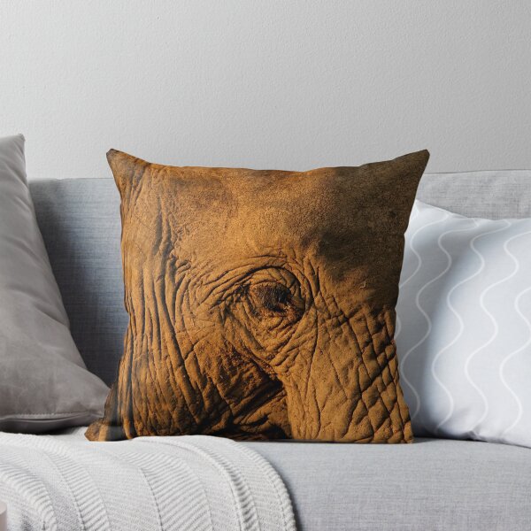 Item preview, Elephant close up designed and sold by Graeme Shannon.