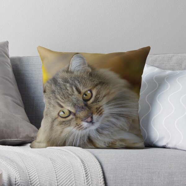 What's fur lunch? Throw Pillow