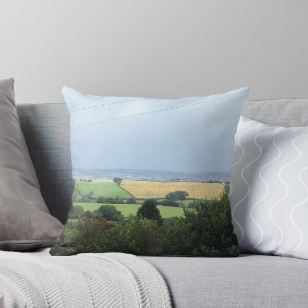 Aperçu de l'œuvre The view over river Exe and the fields and hills in South Devon créée et vendue par Kasia B. Turajczyk.