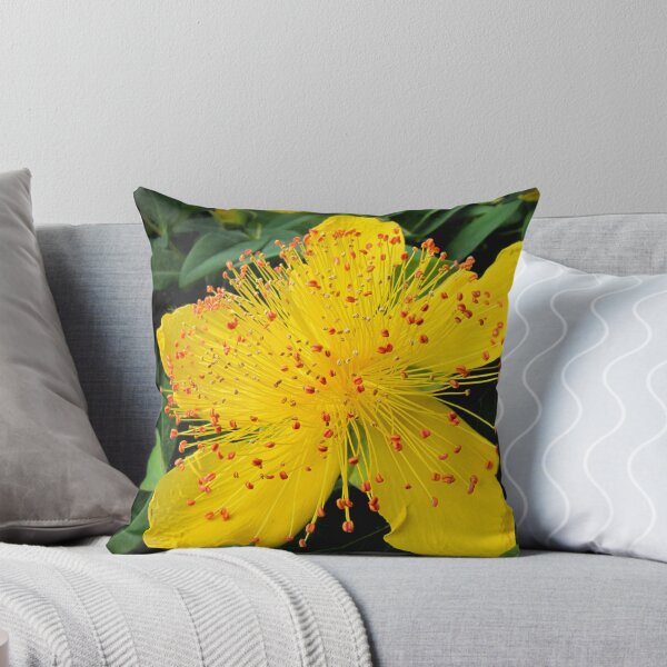 Item preview, Rose of Sharon designed and sold by jacqi.