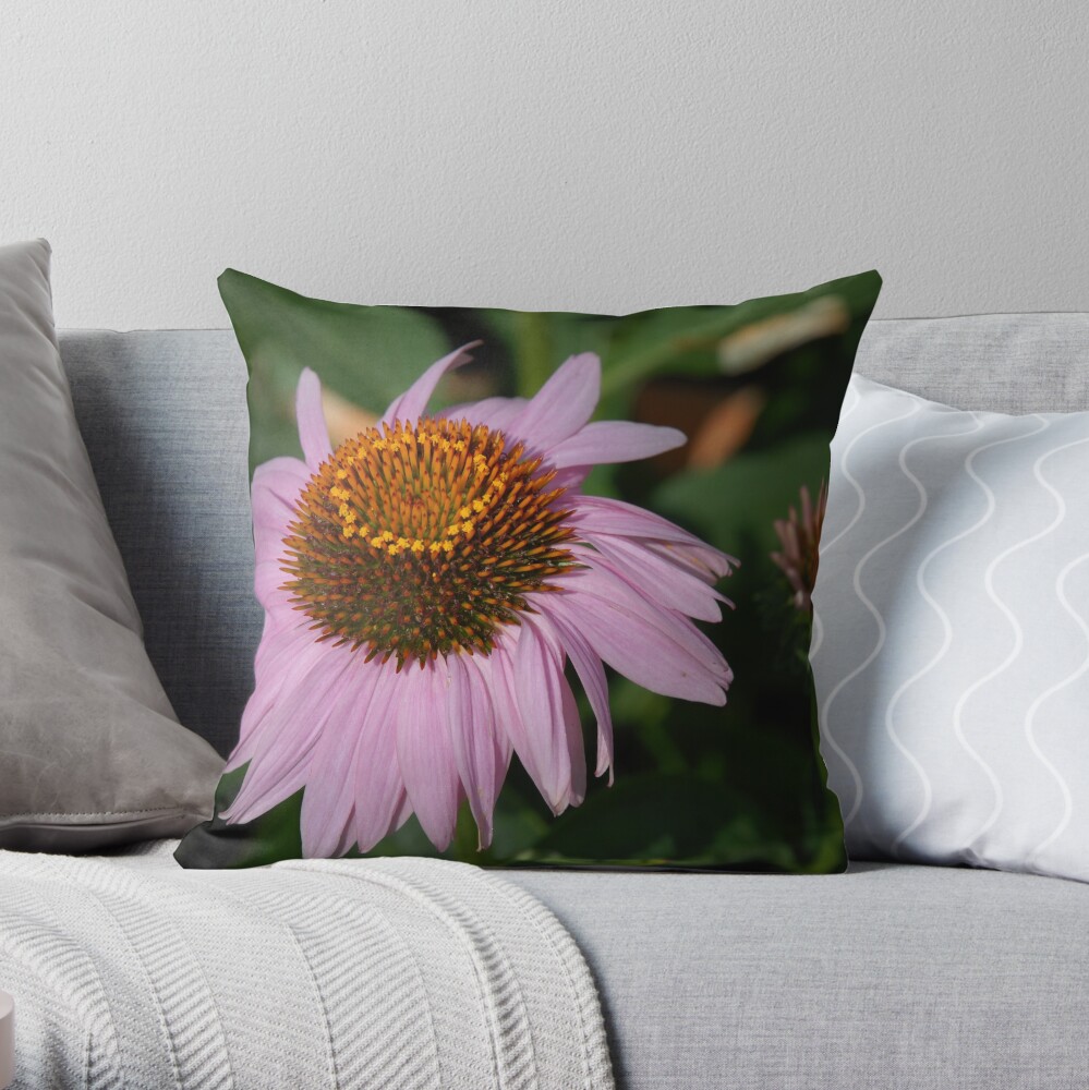 Purple Coneflower Throw Pillow