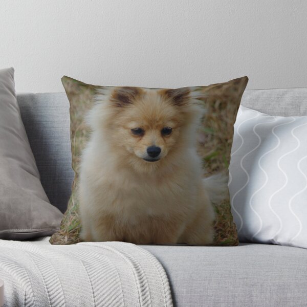 POMERANIAN Throw Pillow