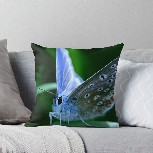 Artikelvorschau, Little Common Blue entworfen und verkauft von Ian Chapman.