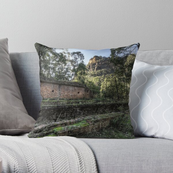 Sandstone Cliffs and Ruins - Newnes - Wollemi National Park, NSW Throw Pillow