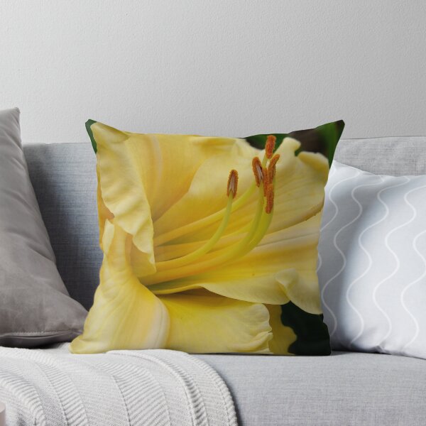 Item preview, soft and yellow designed and sold by 1busymom.