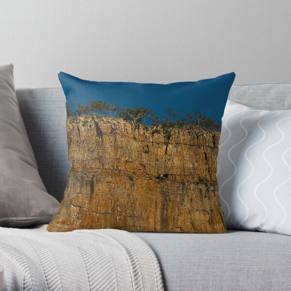 Top Heavy Throw Pillow