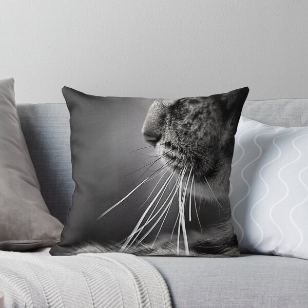 Item preview, Whiskers designed and sold by Basia McAuley.