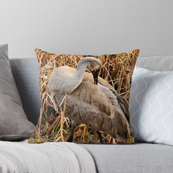 Item preview, Sandhill Crane2 designed and sold by MaluC.