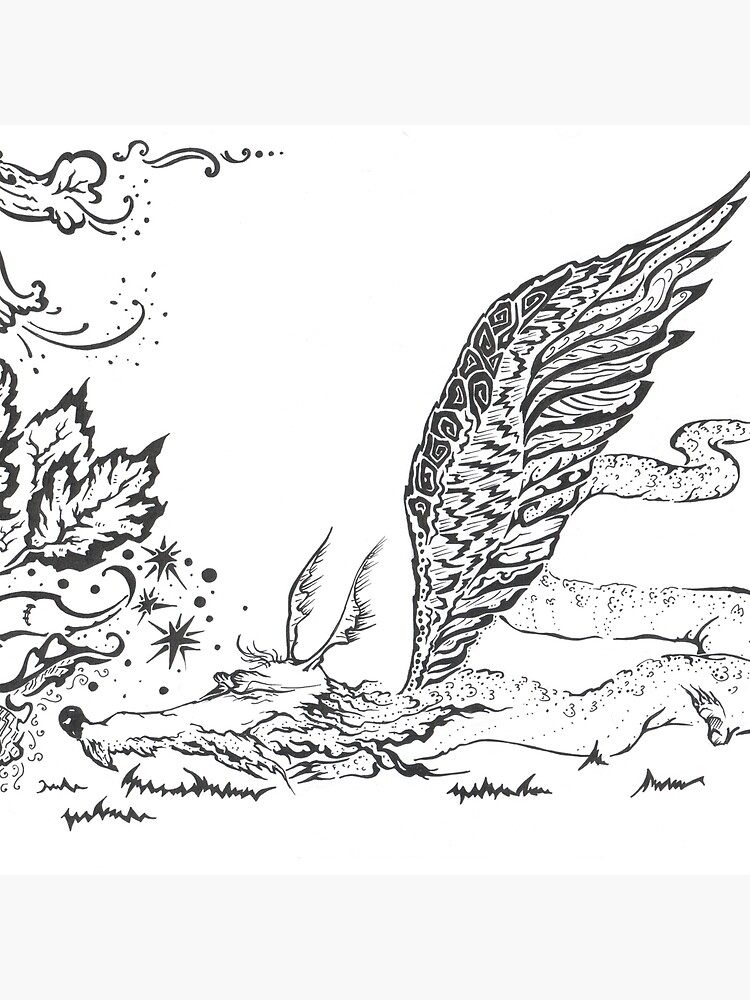 dragon by Anthropolog