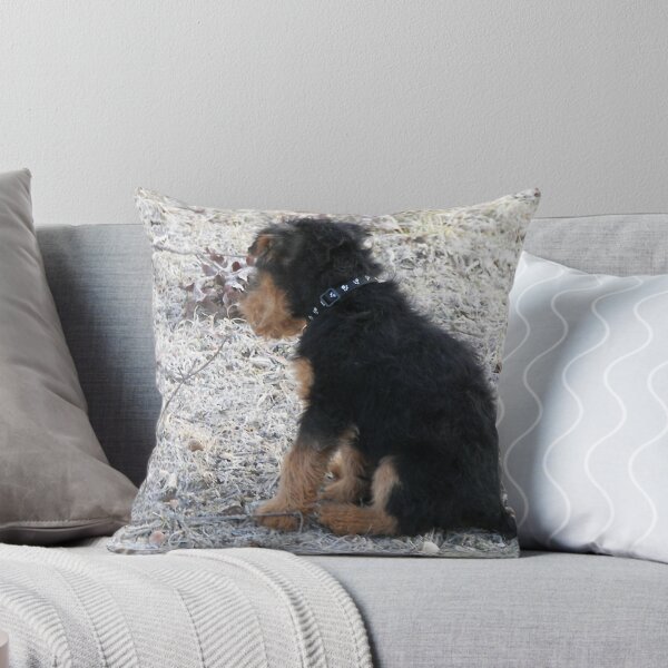 Item preview, What is Cute? designed and sold by Tucker The Dog.