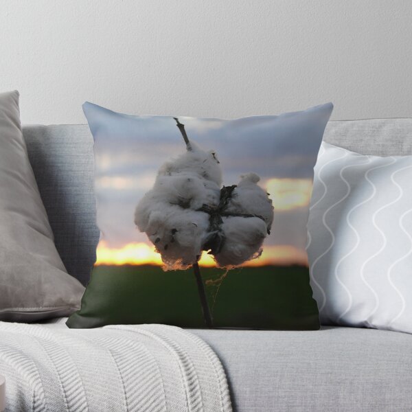 Cotton Fields back home (2) Throw Pillow