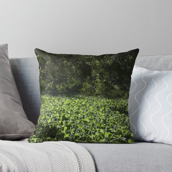 Item preview, Pond 3 designed and sold by Valérie Abella.