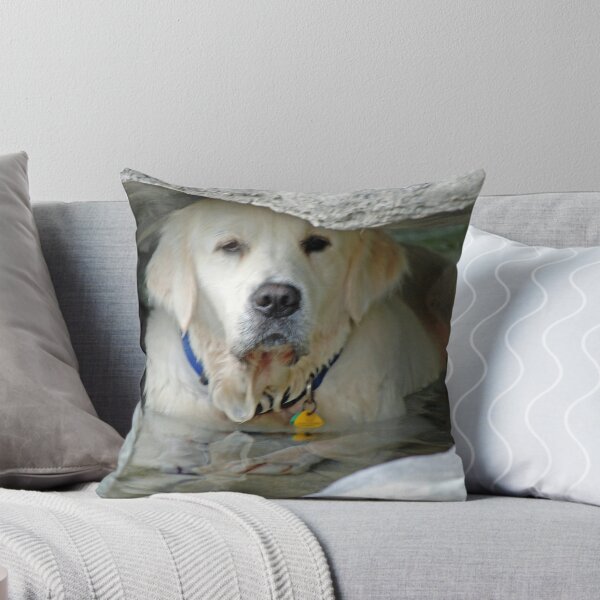 Item preview, One True Water Boy designed and sold by Carol Barona.