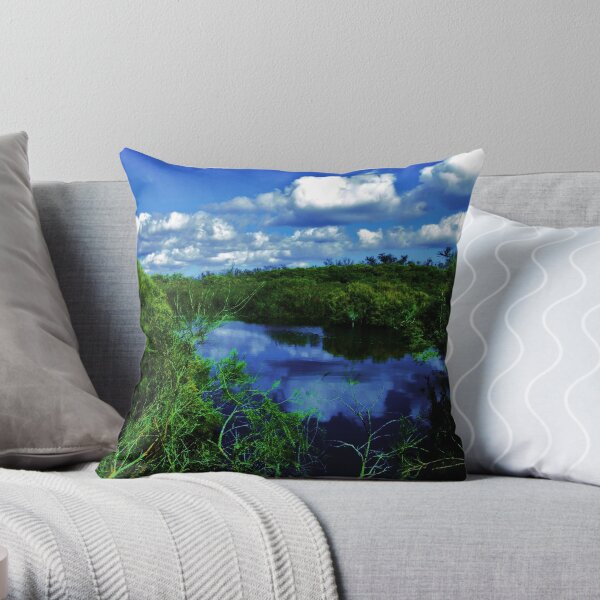 The Spectacles Wetlands Throw Pillow