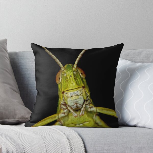 Item preview, Grasshopper designed and sold by Ian Chapman.