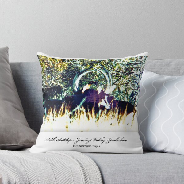 Aperçu de l'œuvre Limited Edition Prints - Fauna créée et vendue par Paul Lindenberg.