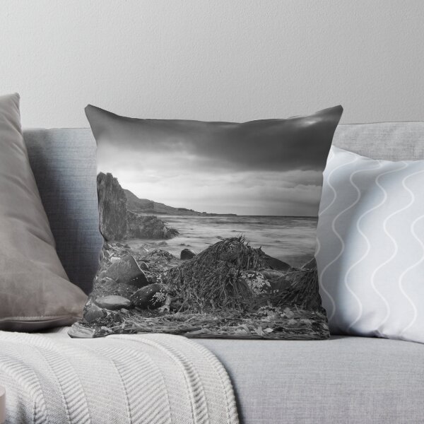Foreboding Skies at Glendale BW Throw Pillow