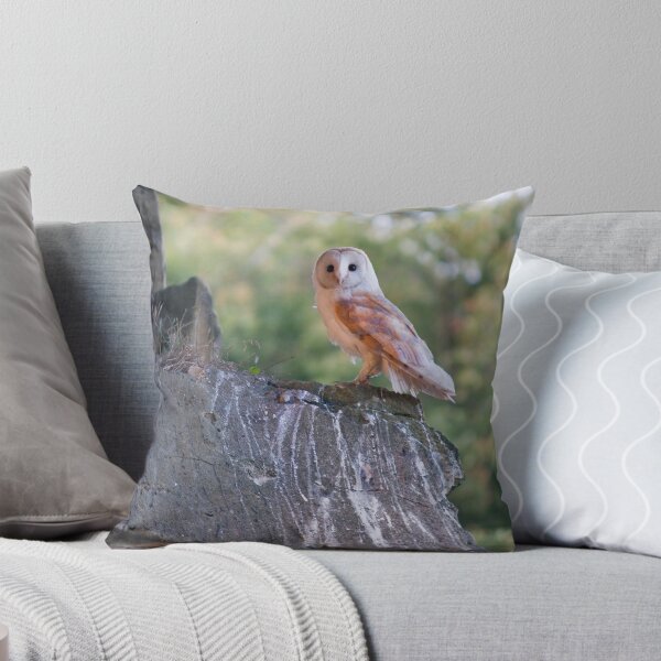 Item preview, Barn Owl designed and sold by WhartonWizard.