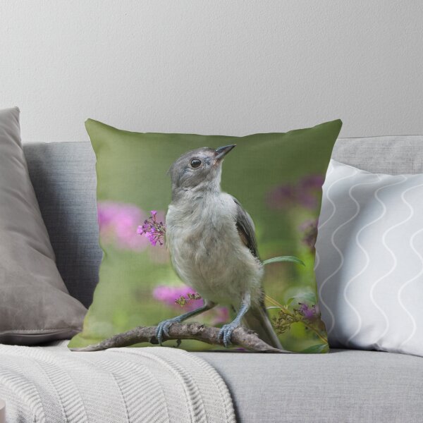 Item preview, Curious Stare designed and sold by Bonnie T.  Barry.