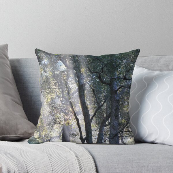 Item preview, Dangar Falls -Trees at sunrise designed and sold by Julie Sherlock.