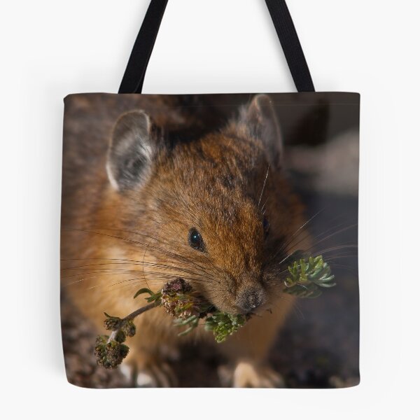 Item preview, The Hardest Working Mammal In Snow Biz designed and sold by Jay Ryser.