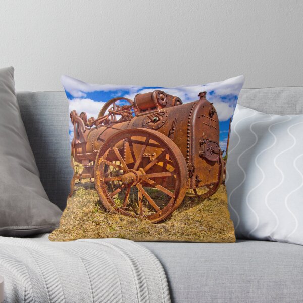 Rusty Steam Throw Pillow