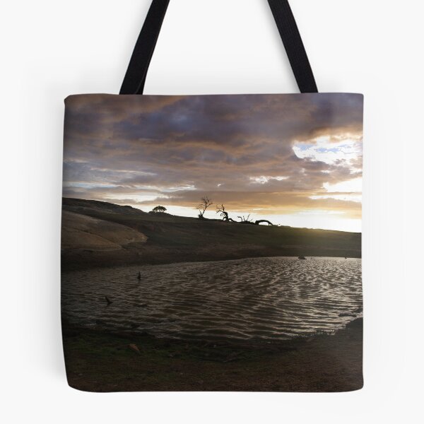Item preview.