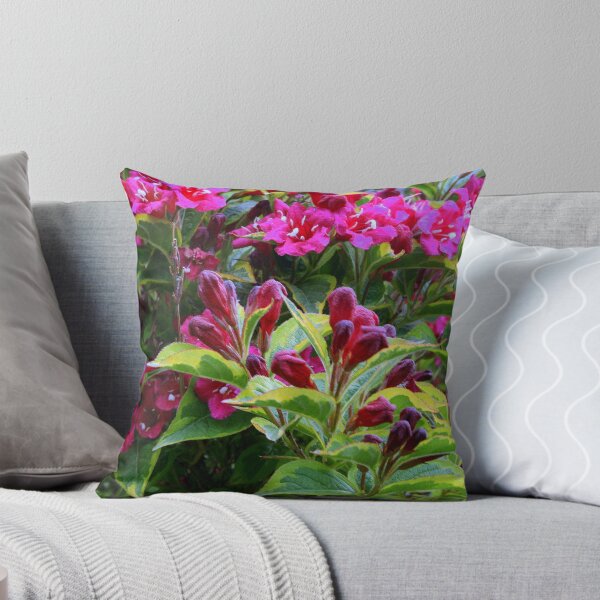 Item preview, Vibrant Colored Weigela Shrub designed and sold by kkphoto1.