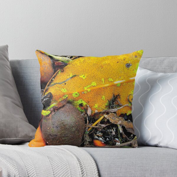 Item preview, Seed pods on beach designed and sold by chelle.